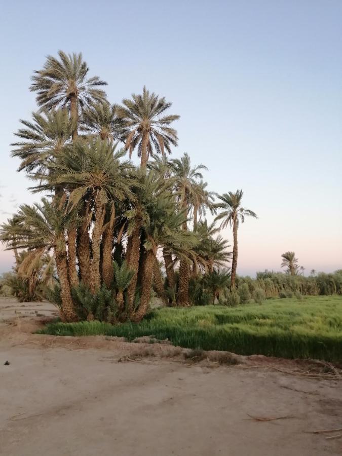 Gite Ait Lmaalam Chez Ahmed スコーラ エクステリア 写真